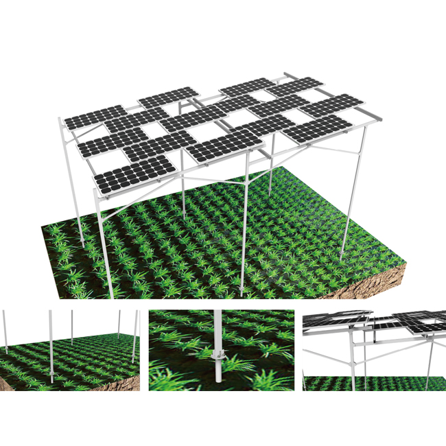 โซลาร์เซลล์รุ่นใหม่ การเกษตร: รูปแบบการเกษตรเสริมและ ไฟฟ้าโซลาร์เซลล์ 